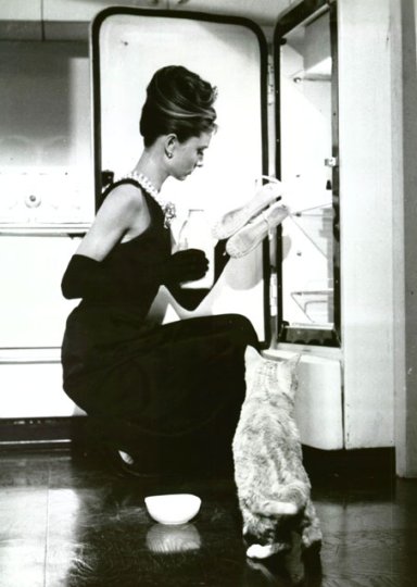 Tags audrey hepburn cat Wordless Wednesday