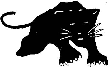 panthers emblem