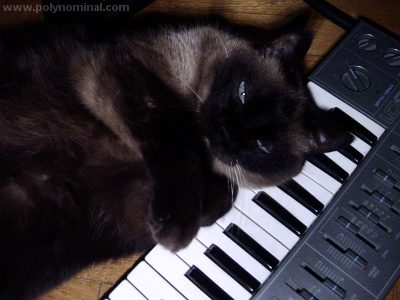 Yamaha Cat