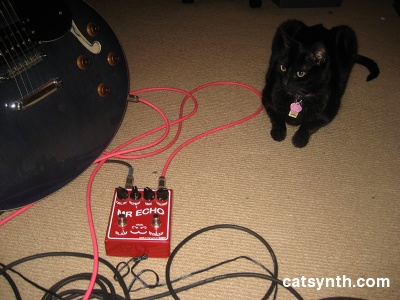 Echo Pedal