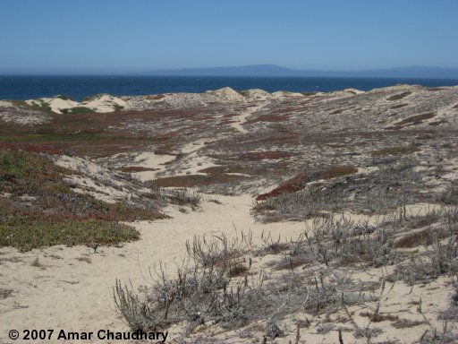 Monterey Dunes